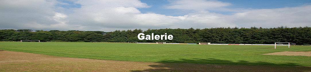 Galerie