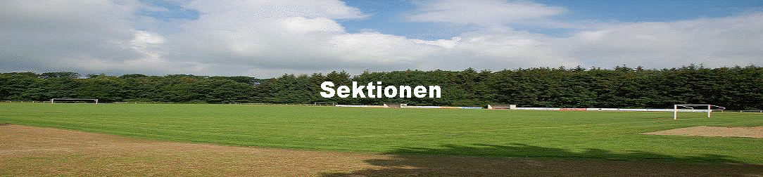 Sektionen